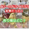 ダイソー　ドライフラワー