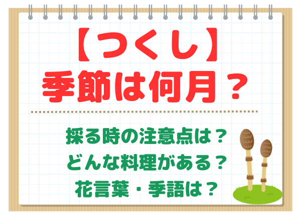 つくしの季節は何月？いつ頃出る？採る時の注意点は？料理はどんなものがある？花言葉や季語は？