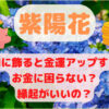 紫陽花　玄関　金運