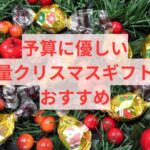 予算に優しい大量クリスマスギフトのおすすめ