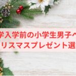 中学入学前の小学生男子へのクリスマスプレゼント選び