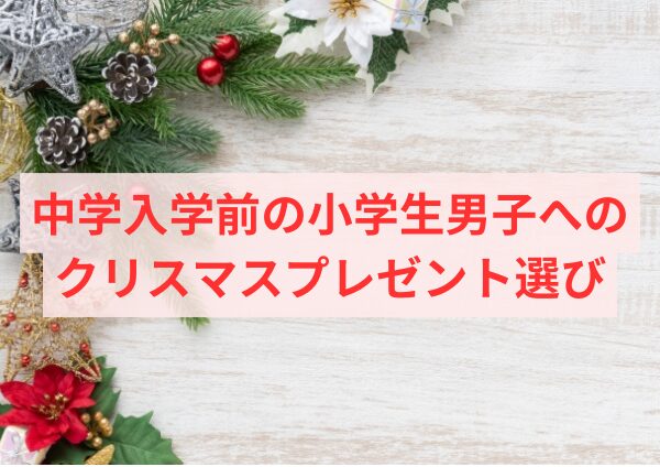 中学入学前の小学生男子へのクリスマスプレゼント選び