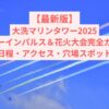 【最新版】大洗マリンタワー2025ブルーインパルス＆花火大会完全ガイド｜日程・アクセス・穴場スポット